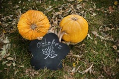 Οι κολοκύθες βρίσκονται στο έδαφος Haloween στοκ εικόνες με δικαίωμα ελεύθερης χρήσης Οι κολοκύθες βρίσκονται στο έδαφος Haloween στοκ εικόνες με δικαίωμα ελεύθερης χρήσης