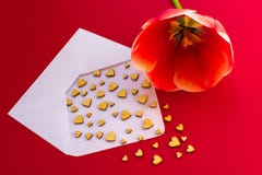 Οι μικρές ξύλινες καρδιές πετούν από έναν άσπρο φάκελο σε ένα κόκκινο υπόβαθρο και μια κόκκινη τουλίπα Ημέρα Vbanneralentine r Δώ στοκ εικόνα Οι μικρές ξύλινες καρδιές πετούν από έναν άσπρο φάκελο σε ένα κόκκινο υπόβαθρο και μια κόκκινη τουλίπα Ημέρα Vbanneralentine r Δώ στοκ εικόνα