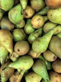 οι νωποί καρποί των καρπών αχλαδιών του flavovirent χρώματος είναι χρήσιμοι στην υγεία πολλή βιταμίνη, χυμός, διανυσματική απεικόνιση οι νωποί καρποί των καρπών αχλαδιών του flavovirent χρώματος είναι χρήσιμοι στην υγεία πολλή βιταμίνη, χυμός, διανυσματική απεικόνιση