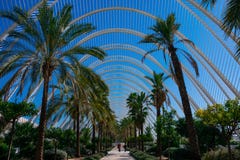 οι τέχνες μπορούν hemisferic λ les Palau reina πόλεων de επιστήμες να δουν τη Σόφια Αρχιτέκτονες Σαντιάγο Calatrava και καντέλα τ στοκ εικόνες οι τέχνες μπορούν hemisferic λ les Palau reina πόλεων de επιστήμες να δουν τη Σόφια Αρχιτέκτονες Σαντιάγο Calatrava και καντέλα τ στοκ εικόνες