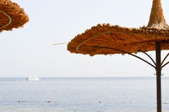 Οι όμορφες φυσικές ομπρέλες θαλάσσης αχύρου υπό μορφή καπέλων και οι πράσινοι φοίνικες σε μια τροπική έρημο προσφεύγουν ενάντια σ στοκ εικόνα Οι όμορφες φυσικές ομπρέλες θαλάσσης αχύρου υπό μορφή καπέλων και οι πράσινοι φοίνικες σε μια τροπική έρημο προσφεύγουν ενάντια σ στοκ εικόνα