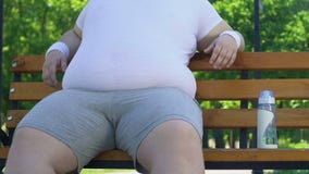 Οκνηρή συνεδρίαση ατόμων στον πάγκο που κτυπά τη μεγάλη παχιά κοιλιά του αντί της μετάβασης για τον αθλητισμό απόθεμα βίντεο Οκνηρή συνεδρίαση ατόμων στον πάγκο που κτυπά τη μεγάλη παχιά κοιλιά του αντί της μετάβασης για τον αθλητισμό απόθεμα βίντεο