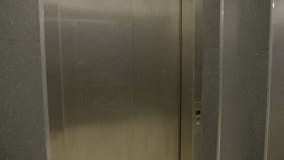Ομάδα θηλυκών φίλων διευθυντών που κρατούν τις τσάντες αγορών και χρησιμοποίηση του ανελκυστήρα για να φθάσει στο πρώτο όροφο - απόθεμα βίντεο Ομάδα θηλυκών φίλων διευθυντών που κρατούν τις τσάντες αγορών και χρησιμοποίηση του ανελκυστήρα για να φθάσει στο πρώτο όροφο - απόθεμα βίντεο
