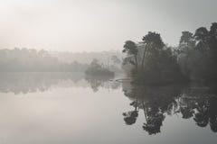 Ομίχλη πρωινού της Misty πέρα από τη λίμνη με τα δέντρα στην αντανάκλαση Η υδρονέφωση Ochtend άνω ven σε de Oisterwijkse το En στοκ εικόνες Ομίχλη πρωινού της Misty πέρα από τη λίμνη με τα δέντρα στην αντανάκλαση Η υδρονέφωση Ochtend άνω ven σε de Oisterwijkse το En στοκ εικόνες