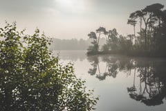 Ομίχλη πρωινού της Misty πέρα από τη λίμνη Φως του ήλιου που έρχεται μέσω της ομίχλης Zonsopkomst πέρα από το meer σε Oisterwijks στοκ φωτογραφία με δικαίωμα ελεύθερης χρήσης Ομίχλη πρωινού της Misty πέρα από τη λίμνη Φως του ήλιου που έρχεται μέσω της ομίχλης Zonsopkomst πέρα από το meer σε Oisterwijks στοκ φωτογραφία με δικαίωμα ελεύθερης χρήσης