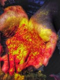 Ομορφιά του holi στοκ εικόνες Ομορφιά του holi στοκ εικόνες