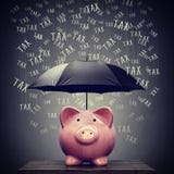 Ομπρέλα που προστατεύει τη piggy αποταμίευση τραπεζών από το φόρο στοκ εικόνα Ομπρέλα που προστατεύει τη piggy αποταμίευση τραπεζών από το φόρο στοκ εικόνα