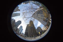 Ουρανοξύστες του Σικάγου σε Fisheye στοκ εικόνα με δικαίωμα ελεύθερης χρήσης Ουρανοξύστες του Σικάγου σε Fisheye στοκ εικόνα με δικαίωμα ελεύθερης χρήσης