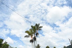 Ουρανός της Ινδονησίας, Pontianak στοκ εικόνες Ουρανός της Ινδονησίας, Pontianak στοκ εικόνες