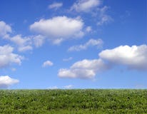 ουρανός χλόης ανασκόπησης ουρανός χλόης ανασκόπησης