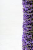 Πλαίσιο lavender σε ένα άσπρο ξύλινο υπόβαθρο στοκ φωτογραφία Πλαίσιο lavender σε ένα άσπρο ξύλινο υπόβαθρο στοκ φωτογραφία