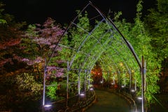 Πάρκο λουλουδιών Ashikaga, Tochigi, διάσημος προορισμός ταξιδιού στην Ιαπωνία στοκ φωτογραφίες με δικαίωμα ελεύθερης χρήσης Πάρκο λουλουδιών Ashikaga, Tochigi, διάσημος προορισμός ταξιδιού στην Ιαπωνία στοκ φωτογραφίες με δικαίωμα ελεύθερης χρήσης