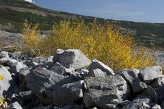 Πέρασμα Crownest, Frank Slide Disaster στοκ εικόνα με δικαίωμα ελεύθερης χρήσης Πέρασμα Crownest, Frank Slide Disaster στοκ εικόνα με δικαίωμα ελεύθερης χρήσης