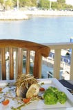 Πέρκες θάλασσας με πορτογαλικό Migas στοκ εικόνες Πέρκες θάλασσας με πορτογαλικό Migas στοκ εικόνες