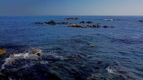 Πέταγμα πέρα από τη ζυμώνομαοντας θάλασσα και το rookery των σφραγίδων απόθεμα βίντεο Πέταγμα πέρα από τη ζυμώνομαοντας θάλασσα και το rookery των σφραγίδων απόθεμα βίντεο
