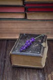 Παλαιά βιβλία και lavender στοκ φωτογραφία με δικαίωμα ελεύθερης χρήσης Παλαιά βιβλία και lavender στοκ φωτογραφία με δικαίωμα ελεύθερης χρήσης