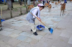 Παλαιοί ιαπωνικοί γυναικών σβόλοι ελαφιών οχημάτων αποκομιδής απορριμμάτων καθαρίζοντας στη διάβαση πεζών του Τ στοκ εικόνες με δικαίωμα ελεύθερης χρήσης Παλαιοί ιαπωνικοί γυναικών σβόλοι ελαφιών οχημάτων αποκομιδής απορριμμάτων καθαρίζοντας στη διάβαση πεζών του Τ στοκ εικόνες με δικαίωμα ελεύθερης χρήσης