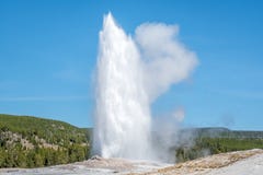 Παλαιό πιστό Geyser που εκρήγνυται σε Yellowstone στοκ φωτογραφία με δικαίωμα ελεύθερης χρήσης Παλαιό πιστό Geyser που εκρήγνυται σε Yellowstone στοκ φωτογραφία με δικαίωμα ελεύθερης χρήσης