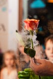 Παγωμένος αυξήθηκε στο υγρό άζωτο - κόμμα διακοσμήσεων γενεθλίων παιδ στοκ εικόνα με δικαίωμα ελεύθερης χρήσης Παγωμένος αυξήθηκε στο υγρό άζωτο - κόμμα διακοσμήσεων γενεθλίων παιδ στοκ εικόνα με δικαίωμα ελεύθερης χρήσης