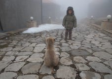 Παιδί που εξετάζει το σκυλί κουταβιών cur στην ομιχλώδη ημέρα καλή χαριτωμένη σκηνή στοκ εικόνες με δικαίωμα ελεύθερης χρήσης Παιδί που εξετάζει το σκυλί κουταβιών cur στην ομιχλώδη ημέρα καλή χαριτωμένη σκηνή στοκ εικόνες με δικαίωμα ελεύθερης χρήσης
