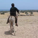 Παιδί που οδηγά έναν γάιδαρο στοκ φωτογραφία Παιδί που οδηγά έναν γάιδαρο στοκ φωτογραφία