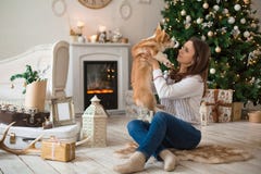Παιχνίδι κοριτσιών με την ευτυχή ζακέτα Corgi κουταβιών ουαλλέζικη στο υπόβαθρο του χριστουγεννιάτικου δέντρου και της εστίας στοκ φωτογραφία με δικαίωμα ελεύθερης χρήσης Παιχνίδι κοριτσιών με την ευτυχή ζακέτα Corgi κουταβιών ουαλλέζικη στο υπόβαθρο του χριστουγεννιάτικου δέντρου και της εστίας στοκ φωτογραφία με δικαίωμα ελεύθερης χρήσης
