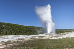 Παλαιά πιστή έκρηξη σε Yellowstone NP Ουαϊόμινγκ στοκ εικόνες με δικαίωμα ελεύθερης χρήσης Παλαιά πιστή έκρηξη σε Yellowstone NP Ουαϊόμινγκ στοκ εικόνες με δικαίωμα ελεύθερης χρήσης