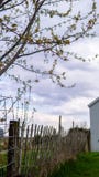 Παλαιός αγροτικός φράκτης στοκ εικόνες Παλαιός αγροτικός φράκτης στοκ εικόνες