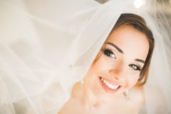 Πανέμορφη νύφη στην τήβεννο που θέτει και που προετοιμάζεται για το πρόσωπο γαμήλιας τελετής σε ένα δωμάτιο στοκ φωτογραφία με δικαίωμα ελεύθερης χρήσης Πανέμορφη νύφη στην τήβεννο που θέτει και που προετοιμάζεται για το πρόσωπο γαμήλιας τελετής σε ένα δωμάτιο στοκ φωτογραφία με δικαίωμα ελεύθερης χρήσης
