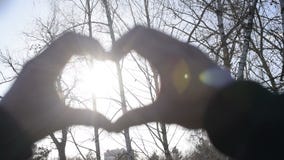 Παραδίδει τη μορφή μιας καρδιάς με την ηλιοφάνεια φιλμ μικρού μήκους Παραδίδει τη μορφή μιας καρδιάς με την ηλιοφάνεια φιλμ μικρού μήκους