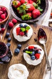 Παραδοσιακό επιδόρπιο Pavlova με τους νωπούς καρπούς Στοκ φωτογραφίες με δικαίωμα ελεύθερης χρήσης Παραδοσιακό επιδόρπιο Pavlova με τους νωπούς καρπούς Στοκ φωτογραφίες με δικαίωμα ελεύθερης χρήσης