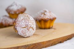 Παραδοσιακά muffins ή ψημένα βασικά cupcakes κοντά επάνω, εκλεκτική εστίαση στοκ φωτογραφία με δικαίωμα ελεύθερης χρήσης Παραδοσιακά muffins ή ψημένα βασικά cupcakes κοντά επάνω, εκλεκτική εστίαση στοκ φωτογραφία με δικαίωμα ελεύθερης χρήσης