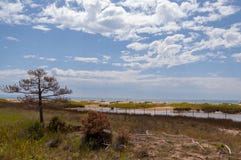 Παραλία Bibione στοκ εικόνα Παραλία Bibione στοκ εικόνα