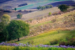 πεδία moravian στοκ εικόνα με δικαίωμα ελεύθερης χρήσης πεδία moravian στοκ εικόνα με δικαίωμα ελεύθερης χρήσης