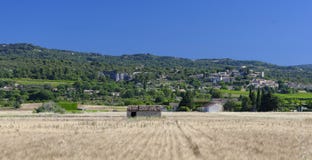 Πεδία στην Προβηγκία στοκ φωτογραφία Πεδία στην Προβηγκία στοκ φωτογραφία
