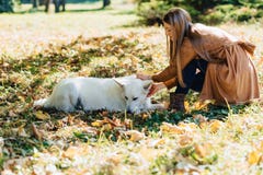 περίπατοι κοριτσιών στο πάρκο φθινοπώρου με το νέο άσπρο ελβετικό σκυλί ποιμένων στοκ φωτογραφίες περίπατοι κοριτσιών στο πάρκο φθινοπώρου με το νέο άσπρο ελβετικό σκυλί ποιμένων στοκ φωτογραφίες