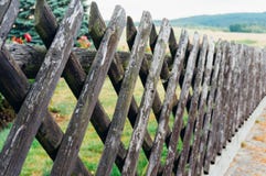 περιφράξτε τους θερινούς ηλίανθους λιβαδιών ξύλινους στοκ εικόνες με δικαίωμα ελεύθερης χρήσης περιφράξτε τους θερινούς ηλίανθους λιβαδιών ξύλινους στοκ εικόνες με δικαίωμα ελεύθερης χρήσης