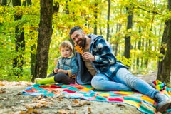 Πεσμένα φύλλα Ο γενειοφόρος μπαμπάς Hipster με το χαριτωμένο γιο ξοδεύει το χρόνο μαζί στο δασικό οικογενειακό χρόνο : r στοκ εικόνες με δικαίωμα ελεύθερης χρήσης Πεσμένα φύλλα Ο γενειοφόρος μπαμπάς Hipster με το χαριτωμένο γιο ξοδεύει το χρόνο μαζί στο δασικό οικογενειακό χρόνο : r στοκ εικόνες με δικαίωμα ελεύθερης χρήσης