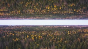 Πετώντας επάνω από δασικά treetops πεύκων, έννοια οριζόντων καθρεφτών Κεραία για τον όμορφο δασικό και νεφελώδη ουρανό, θέμα έναρ διανυσματική απεικόνιση Πετώντας επάνω από δασικά treetops πεύκων, έννοια οριζόντων καθρεφτών Κεραία για τον όμορφο δασικό και νεφελώδη ουρανό, θέμα έναρ διανυσματική απεικόνιση