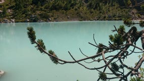 Πεύκα από τη λίμνη Sorapis, δολομίτες, Ιταλία στοκ φωτογραφίες Πεύκα από τη λίμνη Sorapis, δολομίτες, Ιταλία στοκ φωτογραφίες