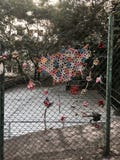 Πλέξιμο στο φράκτη στοκ φωτογραφία με δικαίωμα ελεύθερης χρήσης Πλέξιμο στο φράκτη στοκ φωτογραφία με δικαίωμα ελεύθερης χρήσης