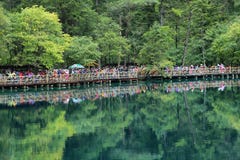 Πολύχρωμη λίμνη ι σε Jiuzhaigou, Κίνα, Ασία στοκ εικόνες με δικαίωμα ελεύθερης χρήσης Πολύχρωμη λίμνη ι σε Jiuzhaigou, Κίνα, Ασία στοκ εικόνες με δικαίωμα ελεύθερης χρήσης