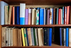 Πολλά διαφορετικά βιβλία είναι στα ράφια στοκ εικόνα με δικαίωμα ελεύθερης χρήσης Πολλά διαφορετικά βιβλία είναι στα ράφια στοκ εικόνα με δικαίωμα ελεύθερης χρήσης