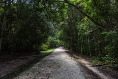 Πορεία στο πάρκο Tikal Αντικείμενο επίσκεψης στη Γουατεμάλα με τους των Μάγια ναούς και τις εθιμοτυπικές καταστροφές στοκ εικόνες Πορεία στο πάρκο Tikal Αντικείμενο επίσκεψης στη Γουατεμάλα με τους των Μάγια ναούς και τις εθιμοτυπικές καταστροφές στοκ εικόνες