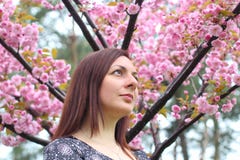Πορτρέτο του όμορφου κοριτσιού στο δέντρο sakura Τα λουλούδια Sakura περιβάλλουν το κορίτσι Κλάδος Sakura από το πρόσωπό της στοκ φωτογραφία με δικαίωμα ελεύθερης χρήσης Πορτρέτο του όμορφου κοριτσιού στο δέντρο sakura Τα λουλούδια Sakura περιβάλλουν το κορίτσι Κλάδος Sakura από το πρόσωπό της στοκ φωτογραφία με δικαίωμα ελεύθερης χρήσης