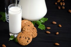 Ποτήρι της μέντας αμυγδάλων μπισκότων γάλακτος στοκ φωτογραφία με δικαίωμα ελεύθερης χρήσης Ποτήρι της μέντας αμυγδάλων μπισκότων γάλακτος στοκ φωτογραφία με δικαίωμα ελεύθερης χρήσης