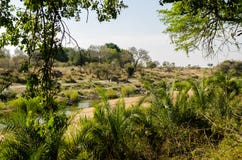 Ποταμός Olifants, εθνικό πάρκο Kruger, Νότια Αφρική στοκ φωτογραφίες με δικαίωμα ελεύθερης χρήσης Ποταμός Olifants, εθνικό πάρκο Kruger, Νότια Αφρική στοκ φωτογραφίες με δικαίωμα ελεύθερης χρήσης