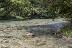 Ποταμός βουνών μια ηλιόλουστη ημέρα στοκ φωτογραφία Ποταμός βουνών μια ηλιόλουστη ημέρα στοκ φωτογραφία