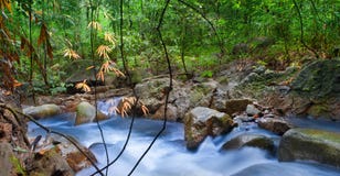 Ποταμός βουνών στο τροπικό τροπικό δάσος στοκ φωτογραφίες Ποταμός βουνών στο τροπικό τροπικό δάσος στοκ φωτογραφίες