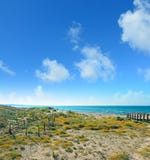 πράσινη ακτή Στοκ Εικόνες πράσινη ακτή Στοκ Εικόνες